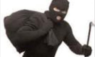 टप्पेबाजो  ने आटो सवार महिला से नगदी और गहने लेकर फरार