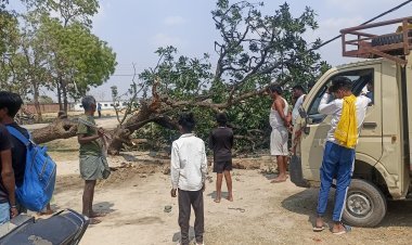 काम से वापस लौट रहे बिजलीकर्मी के ऊपर गिरा डाली, हालत गंभीर