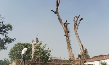 आग ने मचाई कोहराम ,पूरे गांव में धुआं ही धुआ , कई घरों की झोपड़ियां जलकर राख