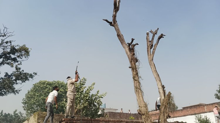 आग ने मचाई कोहराम ,पूरे गांव में धुआं ही धुआ , कई घरों की झोपड़ियां जलकर राख