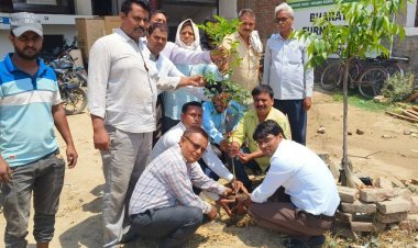 भारतीय डाक बीमा एवम ग्रामीण भारतीय डाक बीमा ने किया वृक्षा रोपण