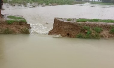 सरयू नहर टूटने से किसानों की फसल हुई जलमग्न