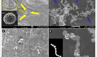 लद्दाख का रॉक वार्निश अंतरिक्ष में रहने योग्य वातावरण की पहचान करने में सहायता  कर सकता है