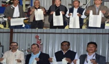 कसावा से बना बायोप्लास्टिक नगालैंड में स्थानीय अर्थव्यवस्था को बढ़ावा दे रहा है