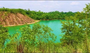 साउथ ईस्टर्न कोलफील्ड्स लिमिटेड ने अधिकृत क्षतिपूरक वनीकरण का नेतृत्व किया