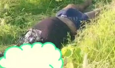 ब्रेकिंग न्यूज़: बेलघाट ब्लॉक के गनेशपुर पंचायत भवन के सामने झाड़ियों में मिला अज्ञात शव, पुलिस जांच में जुटी