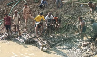 गोविंदपुर टिकरिया गांव में पकड़ा गया 8 फीट का मगरमच्छ, ग्रामीणों ने ली राहत की सांस