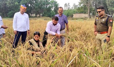 जनपद में धान की फसल का उत्पादन जानने को लेकर डीएम ने कराई क्राप कटिंग