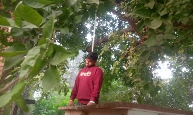 गगहा थाने क्षेत्र में 26 वर्षीय युवक ने फांसी लगाकर की आत्महत्या