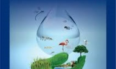 विश्व आर्द्रभूमि दिवस: प्रकृति का अनमोल खजाना, जिसे बचाना है हमारी जिम्मेदारी!