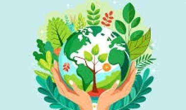 पर्यावरण: जागरूकता और संरक्षण का संदेश