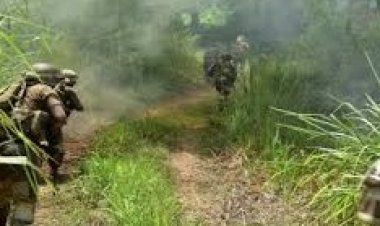 गूगल मैप्स ने पुलिस को भेजा 'गलत जगह', नगालैंड में छापेमारी करती टीम को स्थानीय लोगों ने किया बंधक!