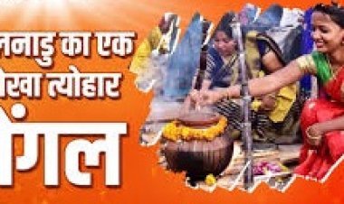 सूर्य देवता को समर्पित: पोंगल का अनोखा पर्व