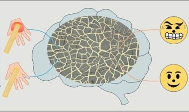 तनाव पहचानने वाली नई पहनने योग्य प्रणाली विकसित