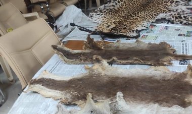 वन्यजीवों के दुश्मनों पर CBI का शिकंजा: तेंदुए की खाल, दांत, नाखून और पैंगोलिन के शल्क के साथ 4 शिकारी गिरफ्तार!