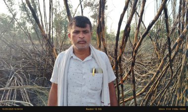 आग से पांच बीघे गन्ने की फसल हुई खाक