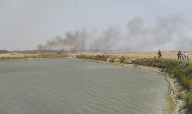 भीषण अग्निकांड: हटवार-नेवास में गेहूं की फसल राख, फायर ब्रिगेड नदारद!