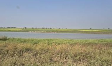 गंगा पुनरुद्धार में नया अध्याय: एनएमसीजी की 62वीं बैठक में इको-सिस्टम बहाली पर आधारित परियोजनाओं को मंजूरी