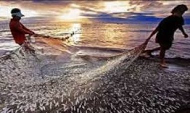 "नीली क्रांति की मजबूती" — ₹20,050 करोड़ की 'प्रधानमंत्री मत्स्य संपदा योजना' से देशभर में मछुआरों को मिला नया जीवन!