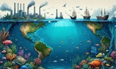 बॉटम-ट्रॉलिंग पर सख्ती, समुद्री जीवन की सुरक्षा को मिली नई दिशा