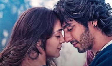 रोमांस की उड़ान ‘सैयारा’ ने भरी 500 करोड़ की ऊंची उड़ान — 19 दिन में बॉक्स ऑफिस पर सुपरहिट धमाका!