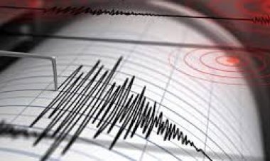 गुजरात-राजस्थान सीमा पर देर रात धरती डोली, 3.6 तीव्रता के भूकंप से दहशत में घरों से निकले लोग