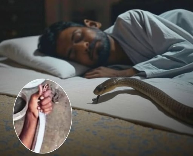 ललितपुर में युवक की दिलेरी: आधे घंटे तक हाथों से दबाए रखा काला सांप, गांव में बना चर्चा का विषय