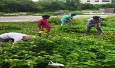 वस्त्र मंत्रालय  स्वच्छता ही सेवा (एसएचएस)-2025 अभियान मना रहा है