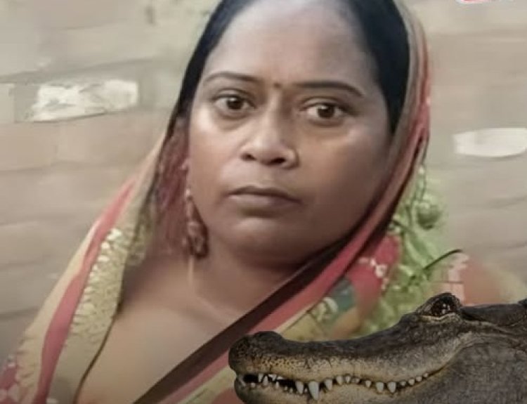कानपुर की हैरतअंगेज़ कहानी: चाय को लेकर झगड़ा, नदी में छलांग, मगरमच्छ से सामना और फिर पेड़ पर गुज़री पूरी रात!