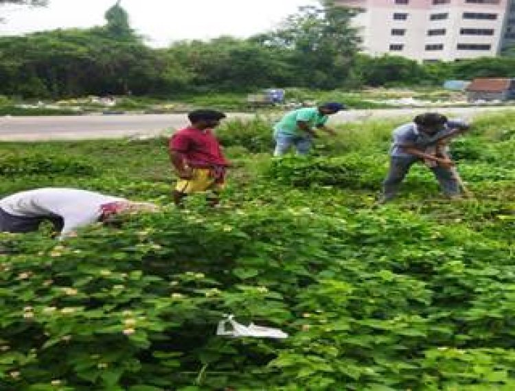 वस्त्र मंत्रालय स्वच्छता ही सेवा (एसएचएस)-2025 अभियान मना रहा है