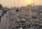 स्वच्छता में नंबर-1 सूरत, लेकिन मोरा गाँव में कचरे के ढेरों में भोजन ढूंढते मवेशी!