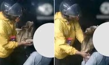 Blinkit डिलीवरी एजेंट पर महिला से छेड़छाड़ का आरोप, वीडियो वायरल होने पर कंपनी ने खत्म किया कॉन्ट्रैक्ट