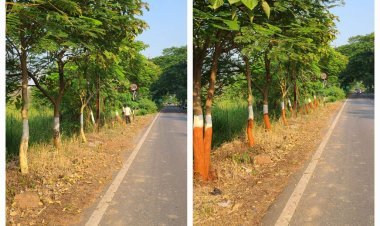 सूरत में मानसून के बाद सड़क मरम्मत कार्यों की रफ्तार तेज़, यात्रियों को मिलेगी राहत