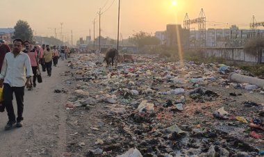 स्वच्छता में नंबर-1 सूरत, लेकिन मोरा गाँव में कचरे के ढेरों में भोजन ढूंढते मवेशी!