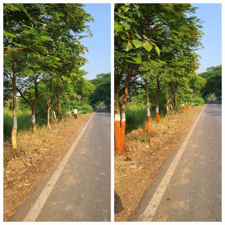 सूरत में मानसून के बाद सड़क मरम्मत कार्यों की रफ्तार तेज़, यात्रियों को मिलेगी राहत