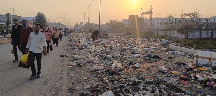 स्वच्छता में नंबर-1 सूरत, लेकिन मोरा गाँव में कचरे के ढेरों में भोजन ढूंढते मवेशी!