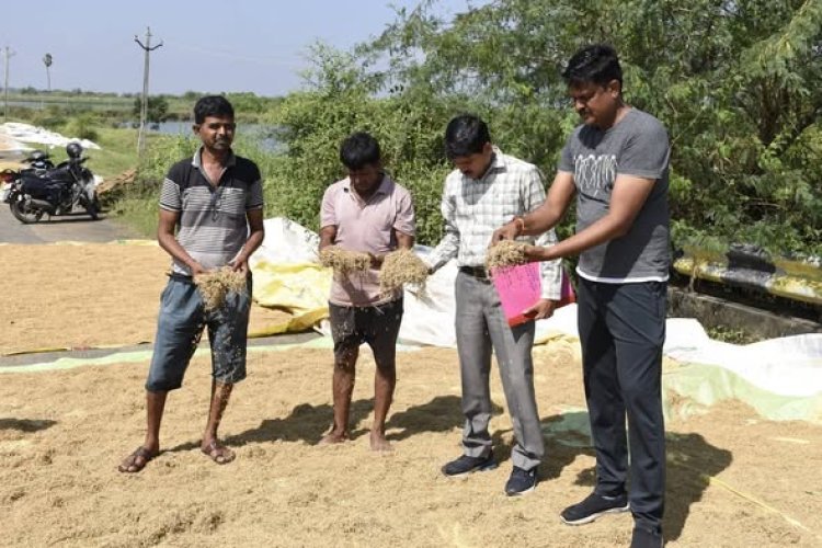 ओलपाड तालुका में बेमौसमी बारिश का कहर: 30,300 हेक्टेयर खेत डूबे, धान की फसल पर भारी मार – सरकार ने शुरू की त्वरित राहत कार्यवाही