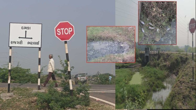 दमका की हवा में घुला जहर: मोरा गाँव का कच्चा सीवेज आठ साल से नाले में! 25 हज़ार ज़िंदगियों पर मंडरा रहा संकट, समुद्र का जीवन भी खतरे में