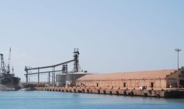 गुजरात की “स्मार्ट ब्लू क्रांति” का बिगुल: वीजीआरसी सौराष्ट्र–कच्छ में होगा समुद्री विकास का महाआयोजन—एआई, 5जी और स्थिरता से जुड़े नए मछली बंदरगाह गुजरात को बनाएंगे वैश्विक समुद्री हब