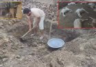 आवारा कुत्तों का आतंक: एक ही रात में 6 बकरों की मौत, 6 गंभीर घायल — डेढ़ लाख का नुकसान, गांव में दहशत का माहौल