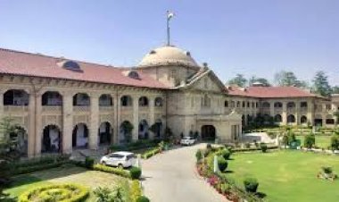 पति की मौत के बाद भी नहीं टूटेगा सहारा: इलाहाबाद हाई कोर्ट का बड़ा फैसला, ससुर से भी मिल सकता है गुजारा भत्ता