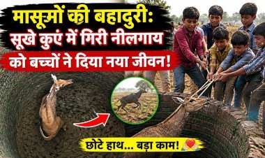 मासूमों की बहादुरी: सूखे कुएं में गिरी नीलगाय को बच्चों ने दिया नया जीवन!