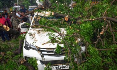 यूपी में कुदरत का कहर: तेज आंधी-तूफान ने मचाई तबाही, उखड़े पेड़-खंभे, कई जिलों में अंधेरे और अफरा-तफरी का माहौल