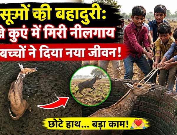 मासूमों की बहादुरी: सूखे कुएं में गिरी नीलगाय को बच्चों ने दिया नया जीवन!