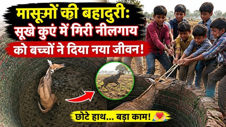 मासूमों की बहादुरी: सूखे कुएं में गिरी नीलगाय को बच्चों ने दिया नया जीवन!