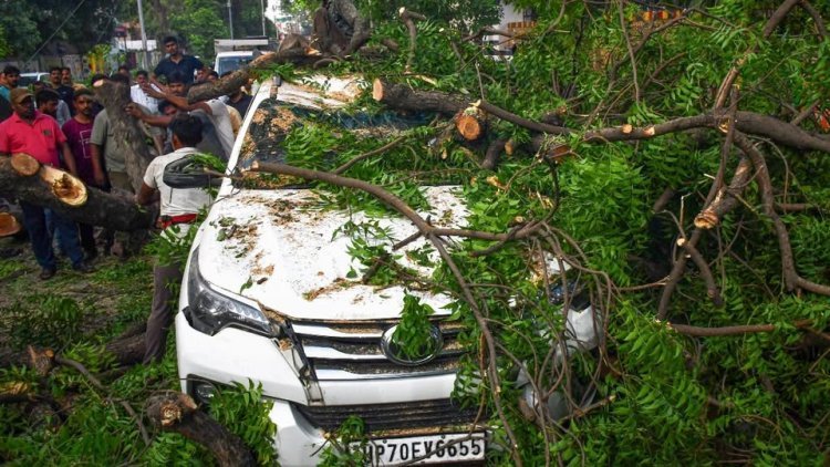 यूपी में कुदरत का कहर: तेज आंधी-तूफान ने मचाई तबाही, उखड़े पेड़-खंभे, कई जिलों में अंधेरे और अफरा-तफरी का माहौल