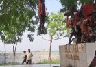 सम्मै माता मंदिर परिसर में पेड़ से लटका मिला युवक का शव, रहस्य में घिरी मौत से इलाके में सनसनी