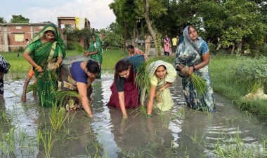 जब खेत में उतरीं राज्य महिला आयोग की सदस्य: डॉ. प्रियंका मौर्या ने ग्रामीण महिलाओं संग की धान की रोपाई, दिया सम्मान और सहभागिता का संदेश