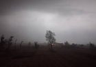 कुशीनगर में भारी बारिश और आकाशीय बिजली का ऑरेंज अलर्ट, प्रशासन ने जारी की सार्वजनिक एडवाइजरी