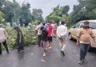 अर्नब तूफान ने आजमगढ़ में मचाई तबाही, 100 जगह पेड़ गिरे; 150 बिजली पोल टूटे, 20 उपकेंद्रों की आपूर्ति ठप